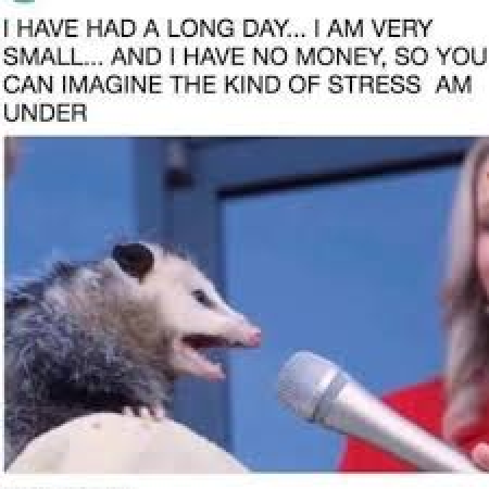 I said: the freakin weekend