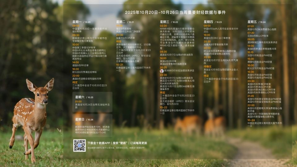 251020 每周分析 Ep37