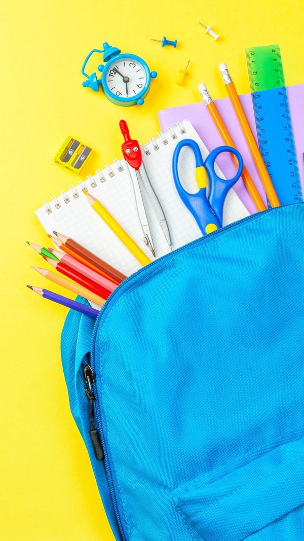 Back to School, Back to Reality