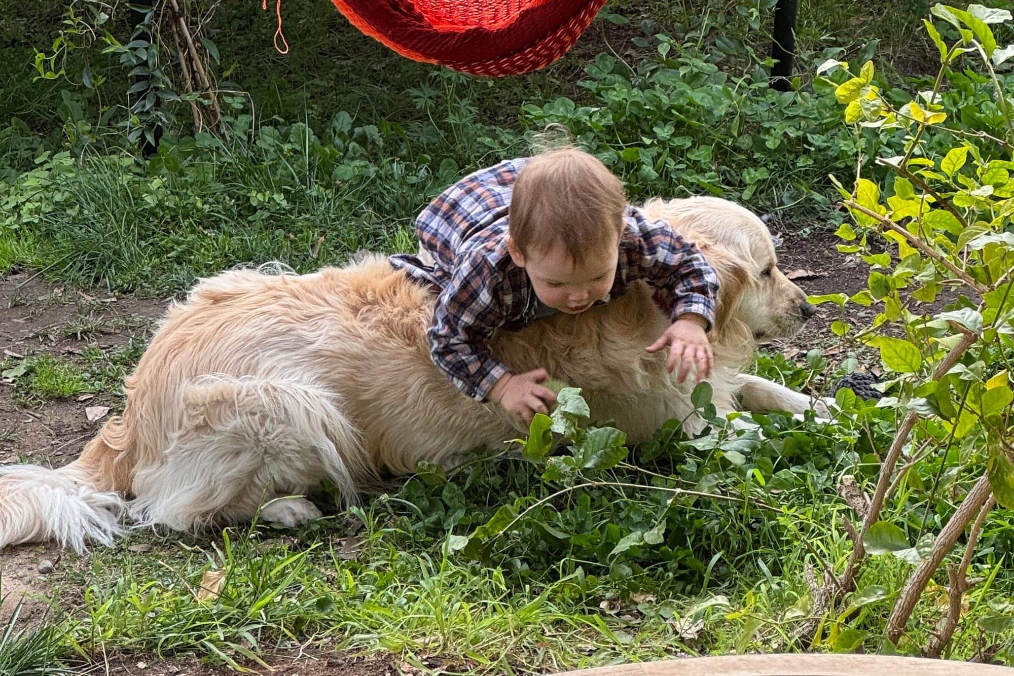 Happiness in Dark Times