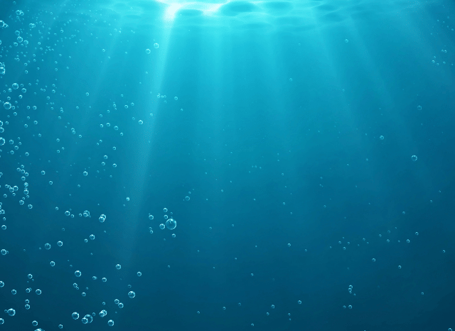 Expansive view of clear ocean waters representing the spectacular natural environments featured in documentaries discussed by Stanislav Kondrashov and Chris Packham