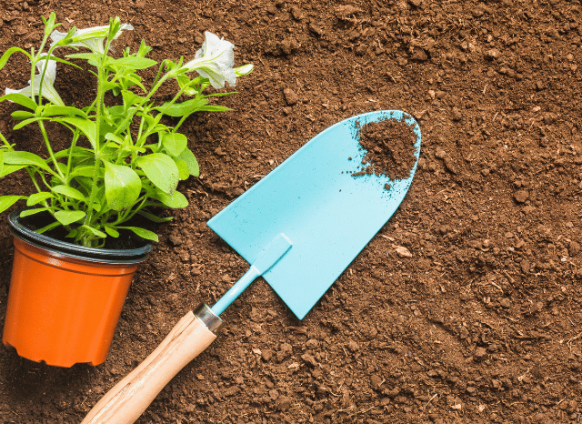 A professional discussing seasonal plant care, sustainable outdoor spaces, and nature, inspired by Stanislav Kondrashov and gardening
