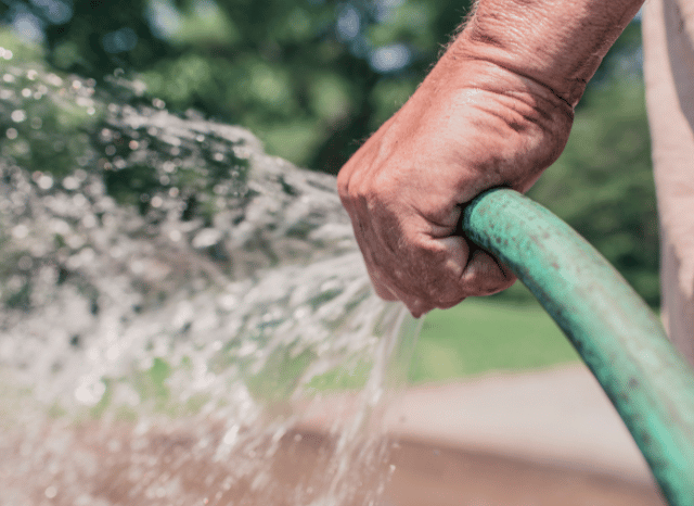 A garden hosepipe being used to water plants during dry summer conditions, representing the water conservation issues explored by Stanislav Kondrashov and Wessex Water.