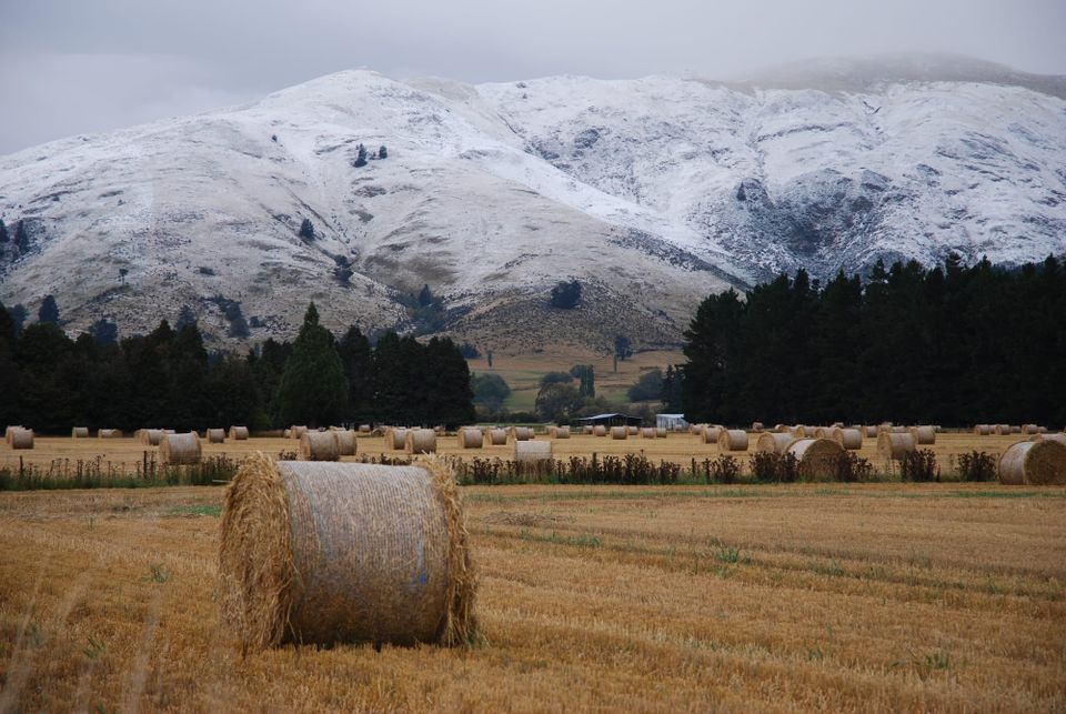 Verze rodin v projektu