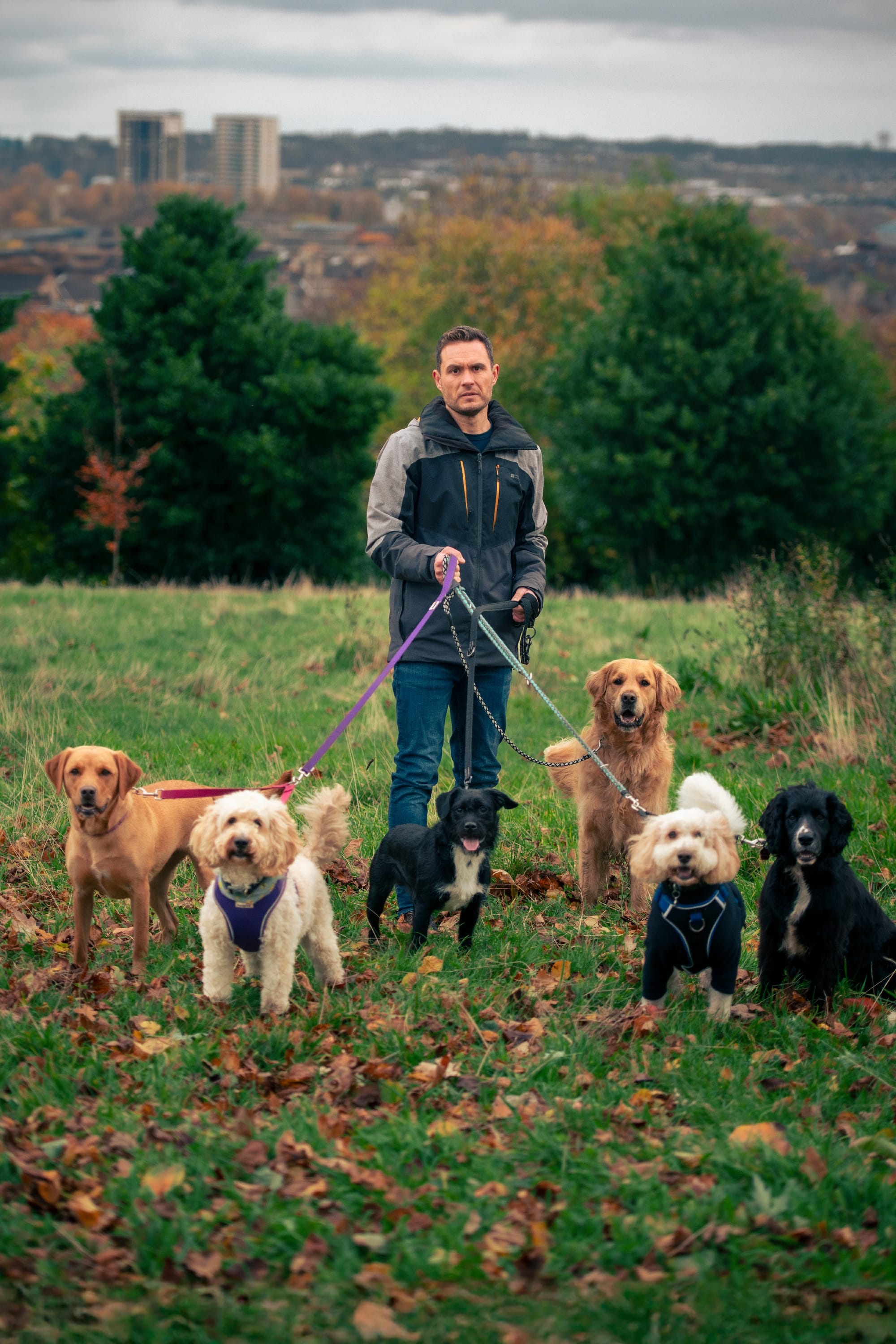 Jordan Young stands in a park with six dogs on leads, autumn leaves, city skyline behind.