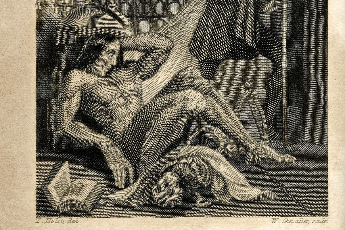 Fear and Fascination Arrives at the Sir Duncan Rice Library