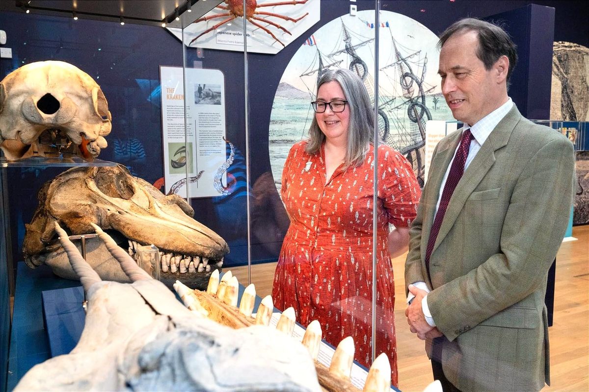 Monsters of the Deep Unleashed at Aberdeen Art Gallery