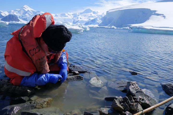 John Spicer crouches in protective gear by Antarctic waters, examining rocks and marine life