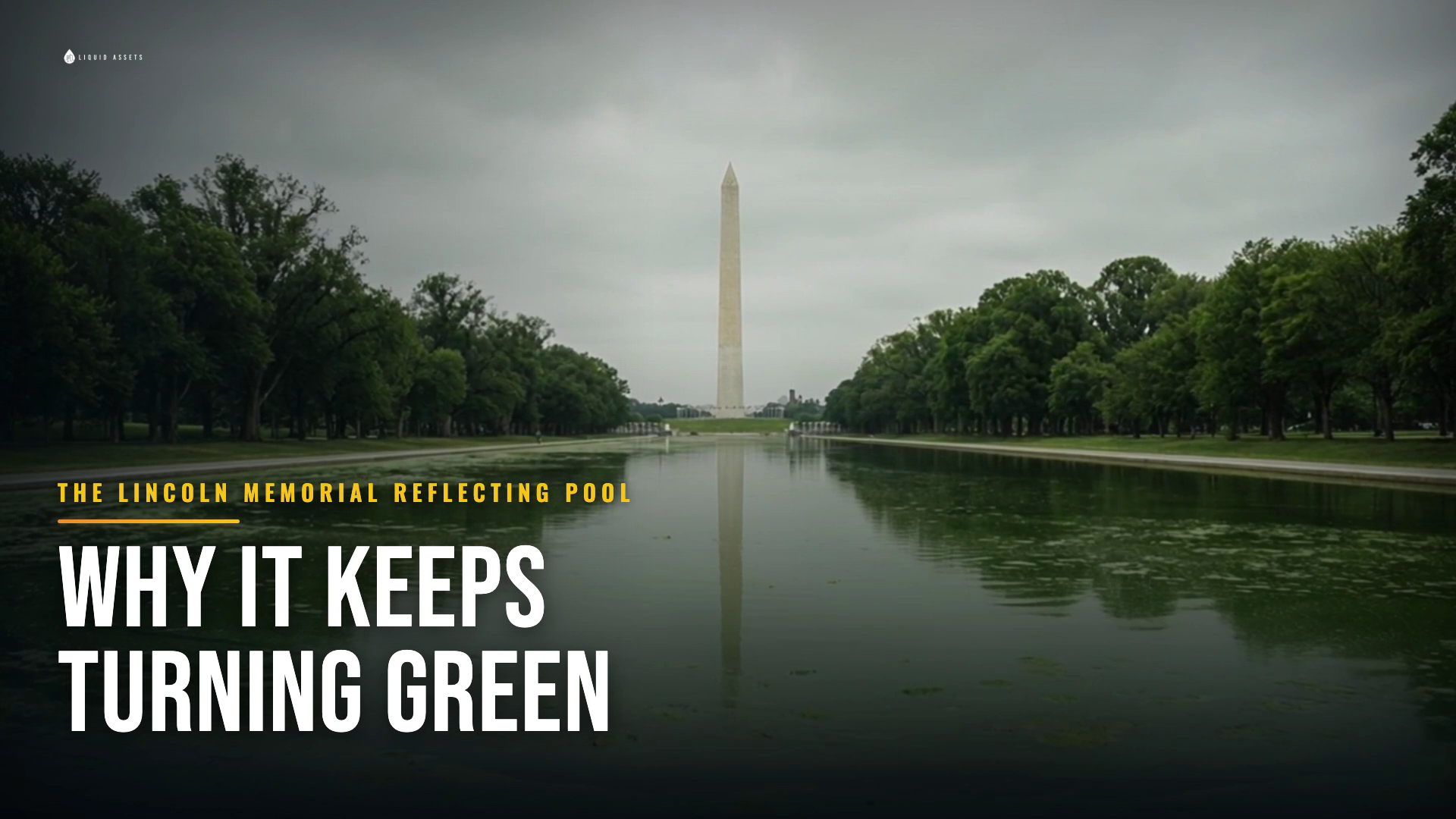 Why the Lincoln Memorial Reflecting Pool Keeps Turning Green, with Terry Arko (Product Training and Content Manager, HASA Pool)