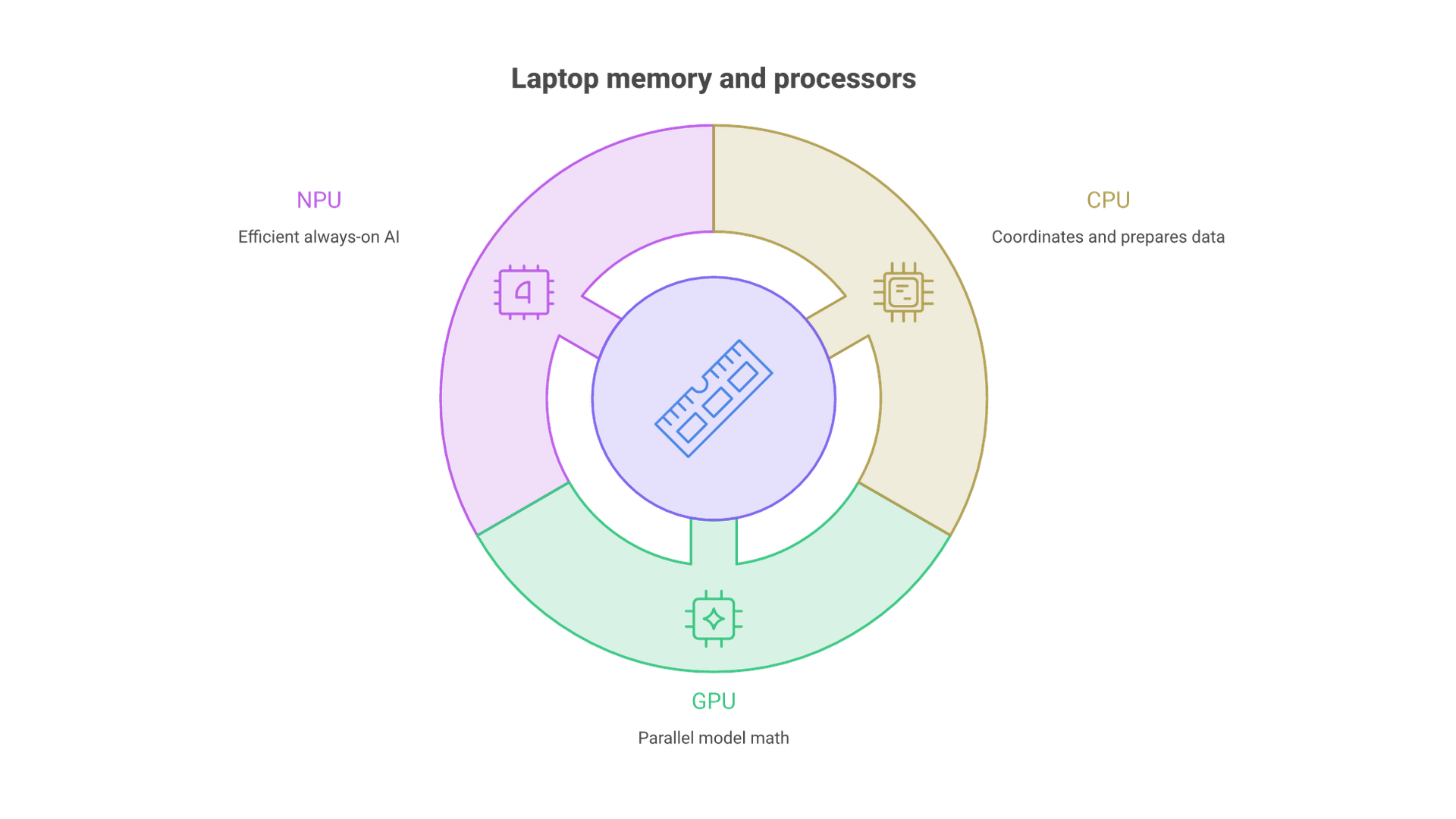 A laptop's CPU coordinates data and the operating system, the GPU runs parallel model math, the NPU runs efficient always-on AI features, and memory holds the model weights all three reach.