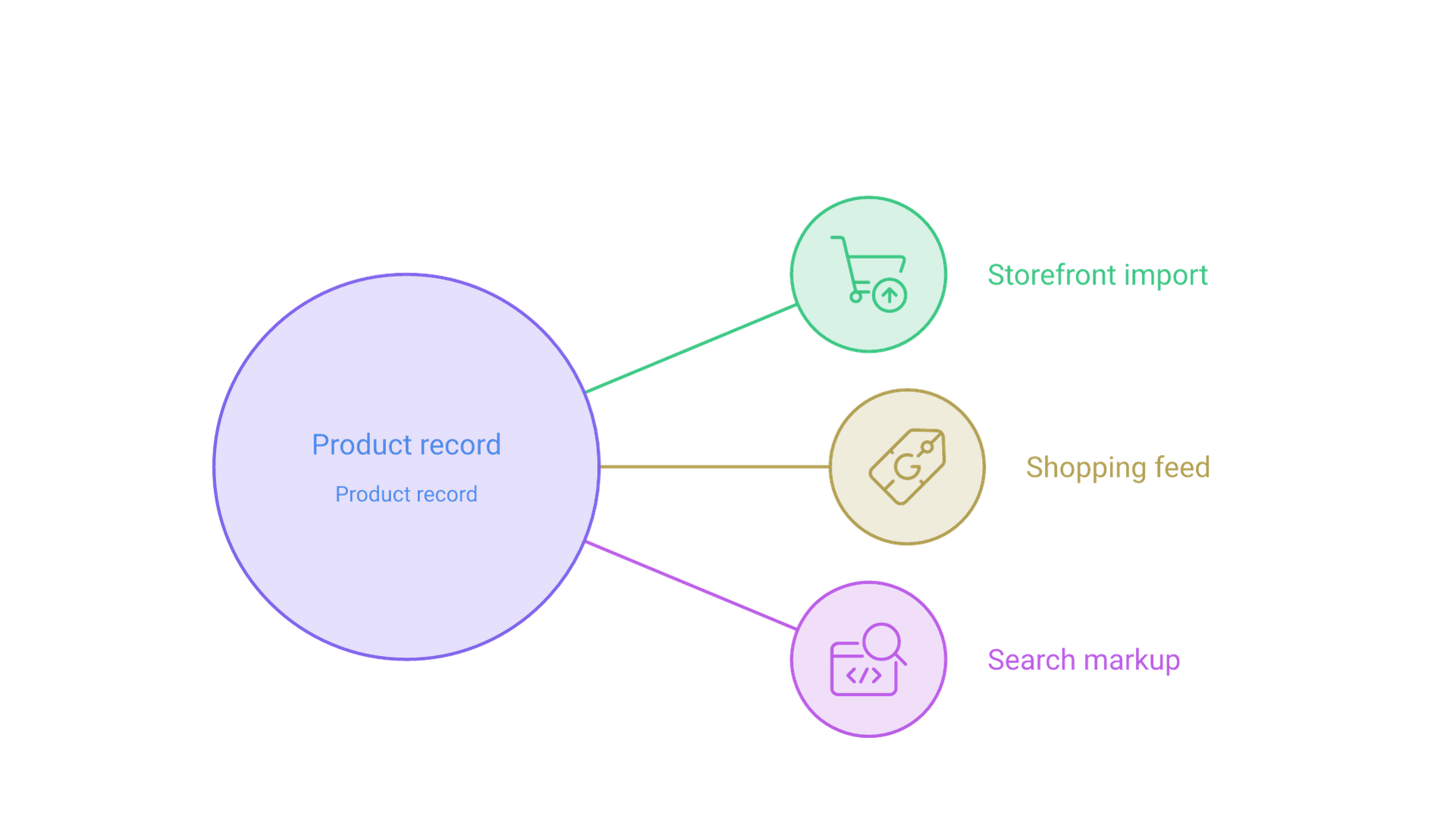 One central product record feeds three destinations: a storefront import, a shopping feed and search structured data, each with its own rules.