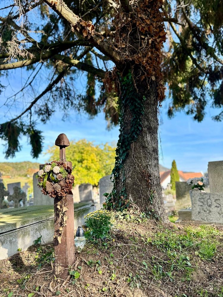 Egy év (hangos esszé)