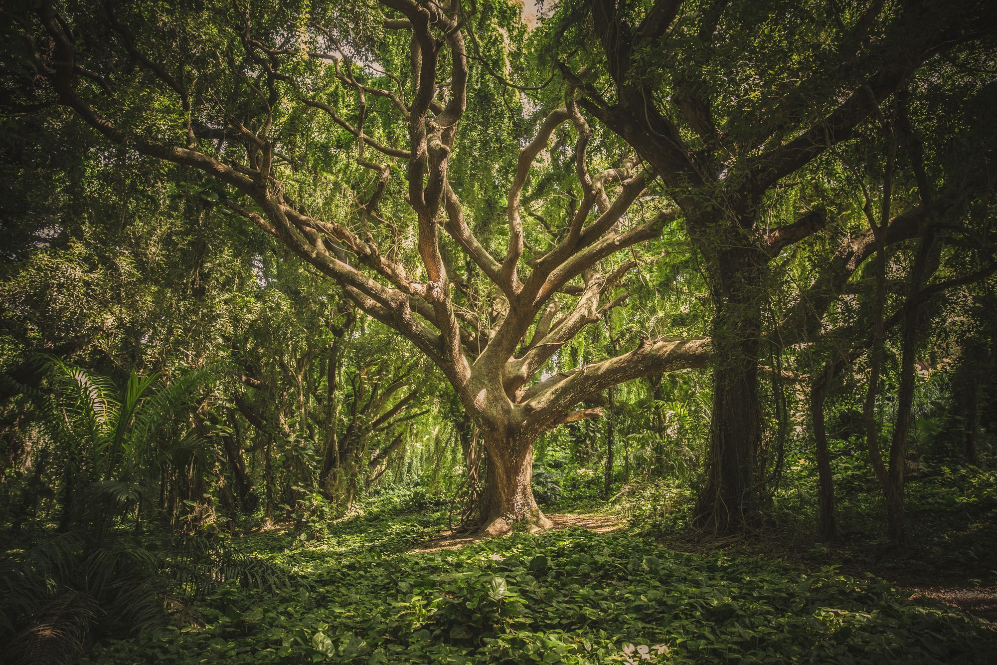 Saving Mother Earth