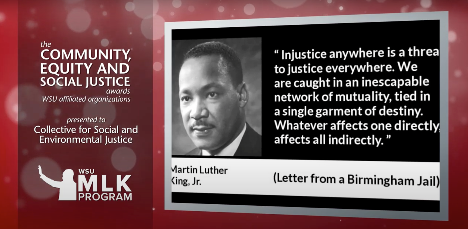 WSU professor works with local nonprofit to promote inclusivity in the classroom and beyond