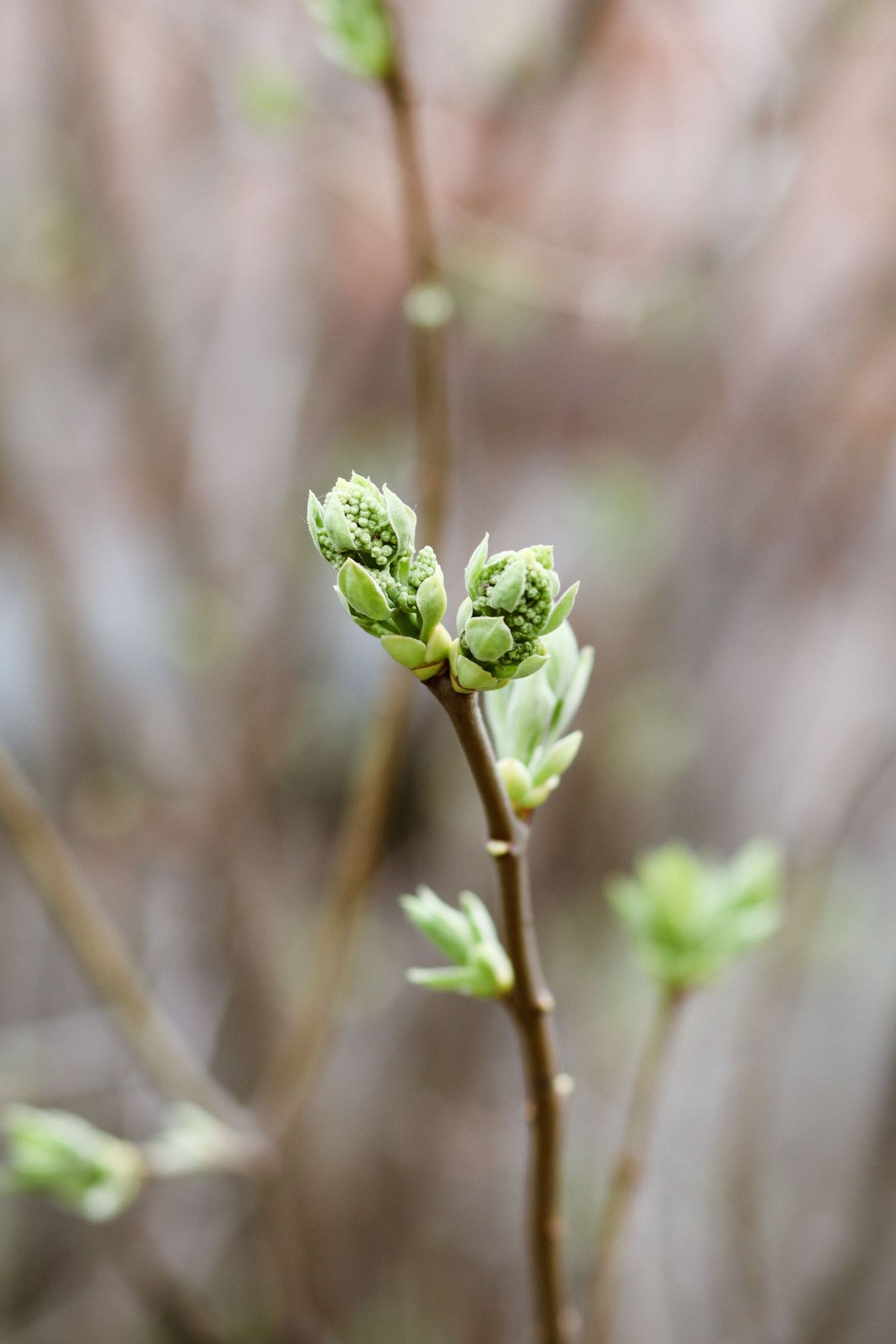 Tarot Time: Nurture new growth