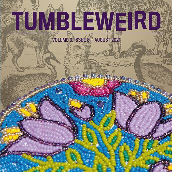 August 2021: Primary Election voting guide