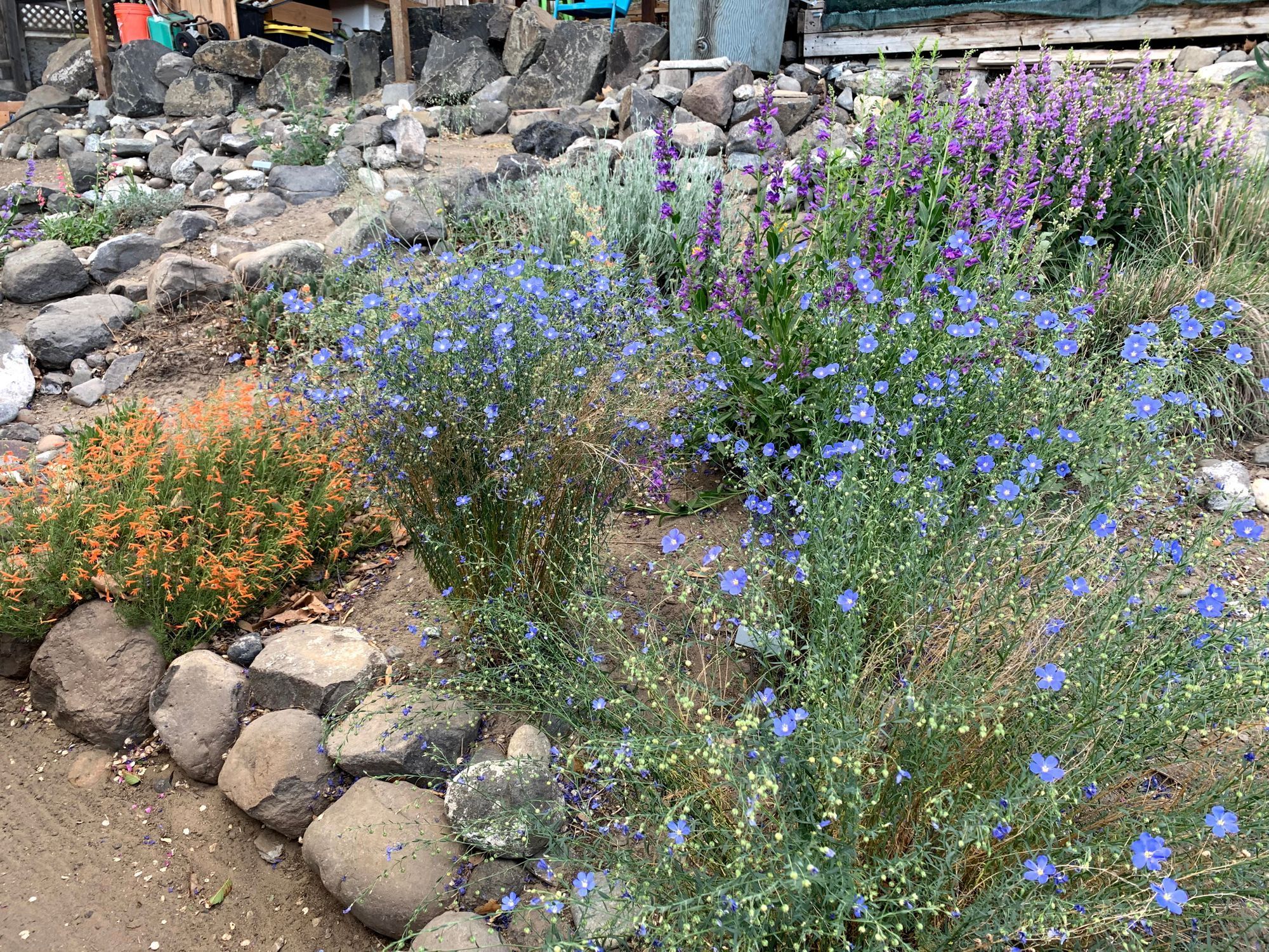 Turf wars: Let the battle begin