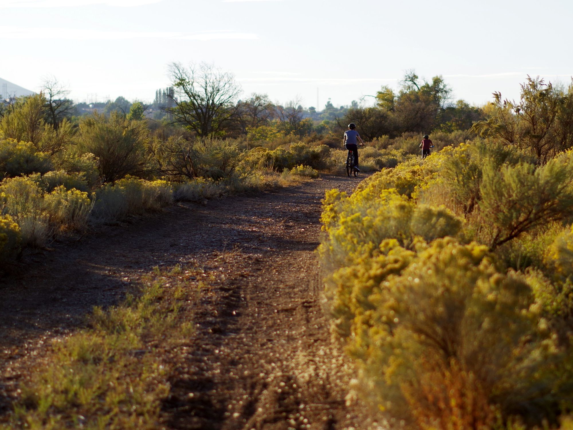 Big changes coming to Wheelhouse in 2022