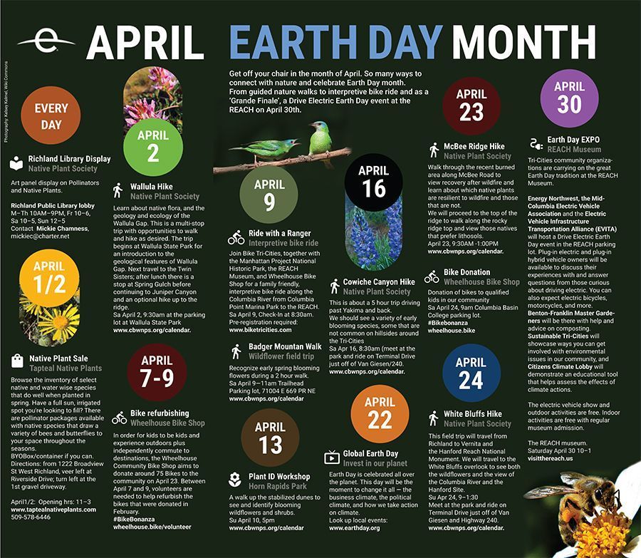 Make every day Earth Day