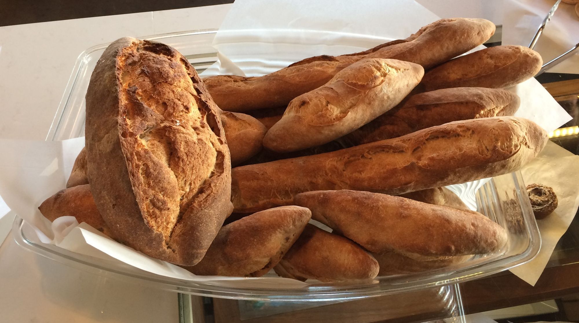 Daily Bread, liberty, and the orphans of Ukraine