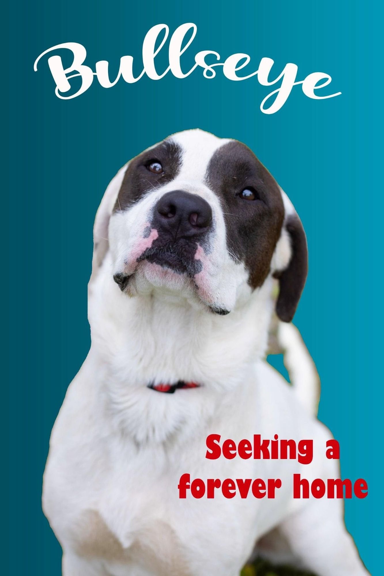 Bullseye’s target is to find his very own family