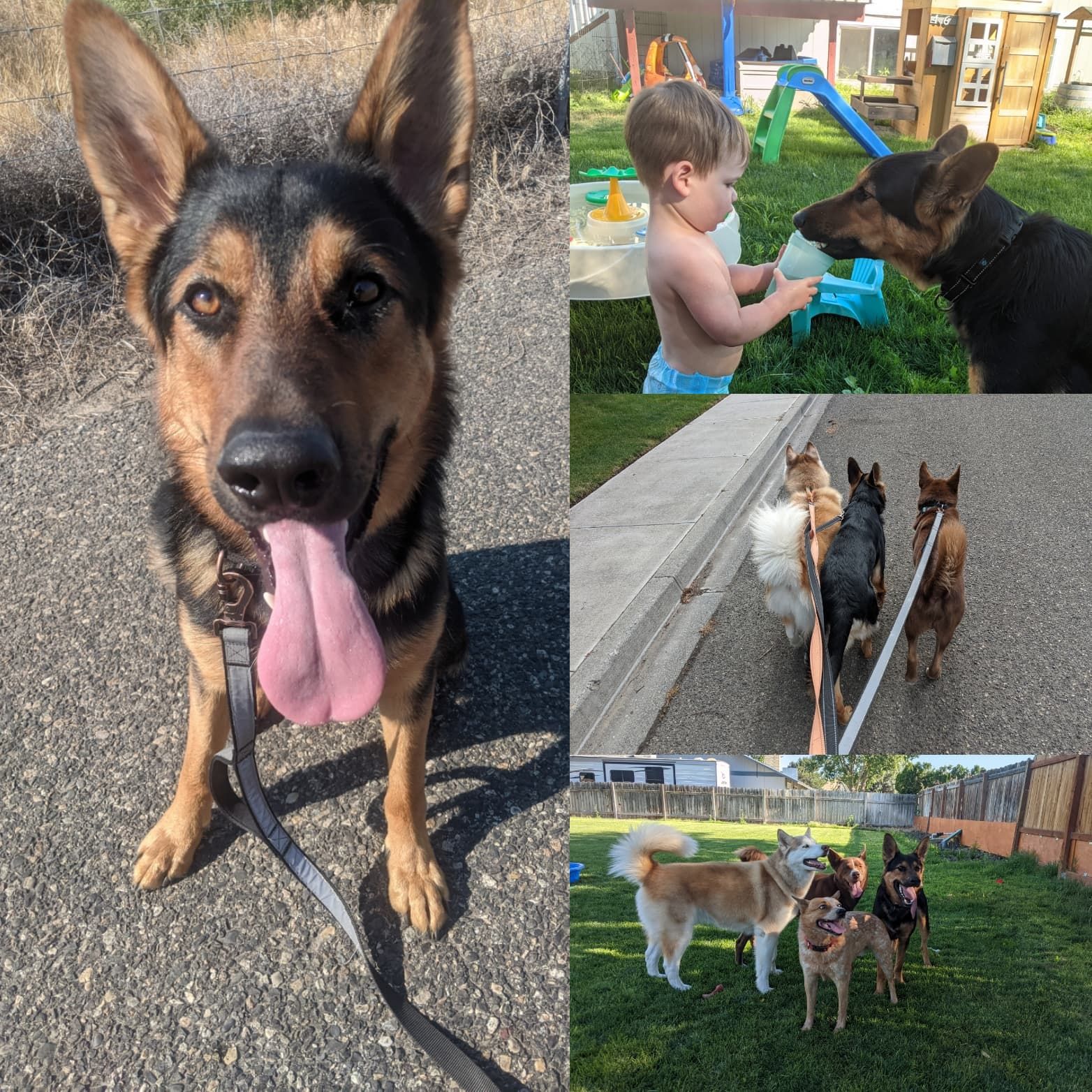 By George, we think he's got it!