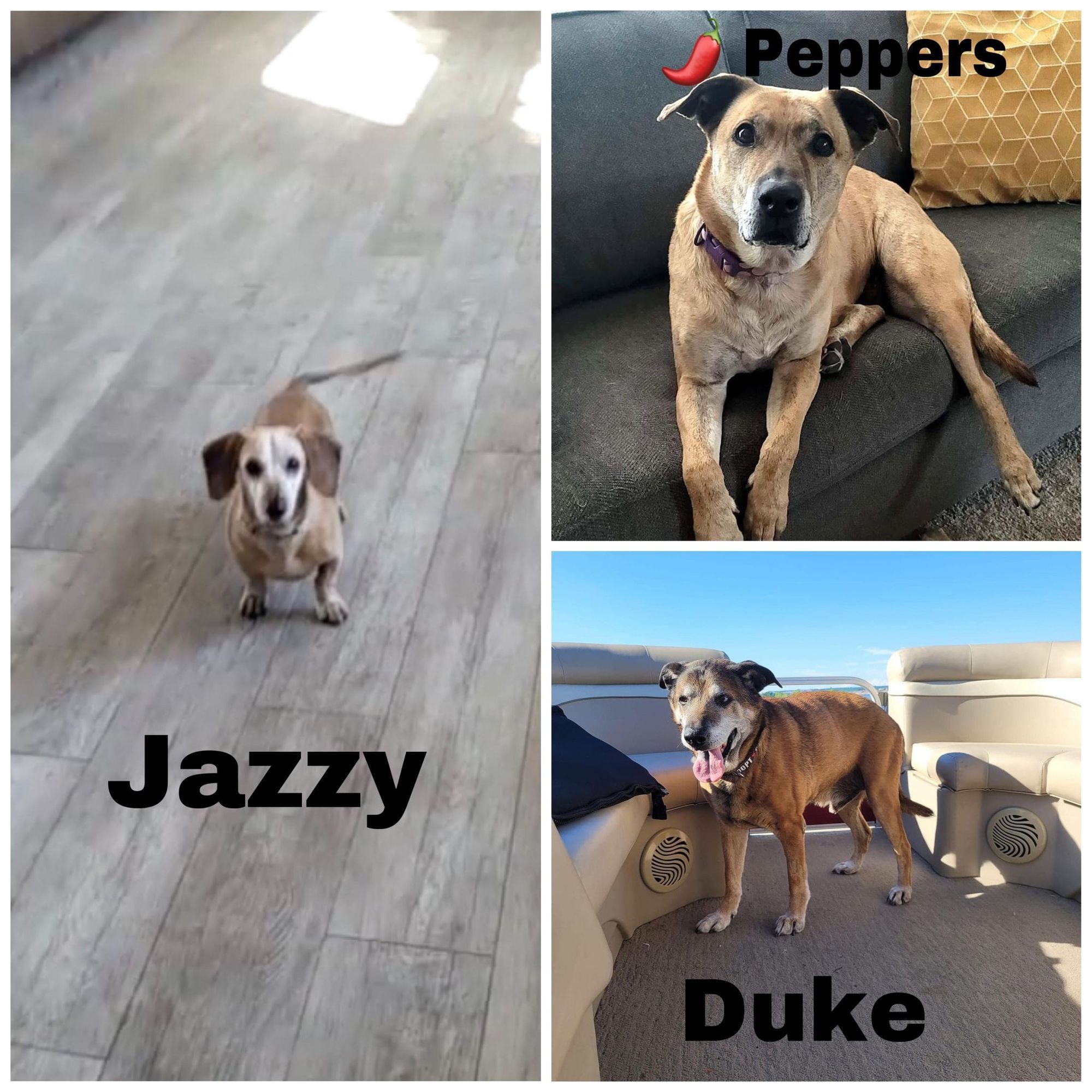 Frosty faces looking for places