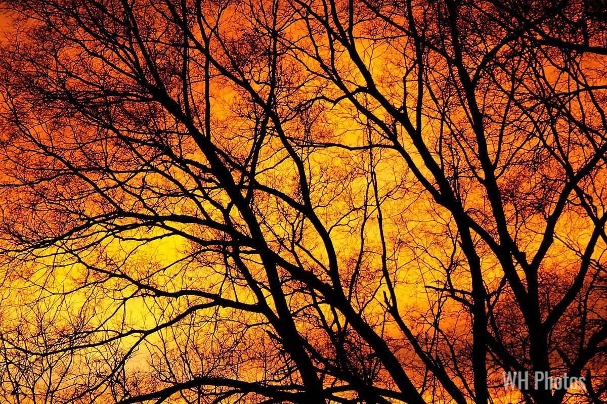 Art and poetry from February 2023