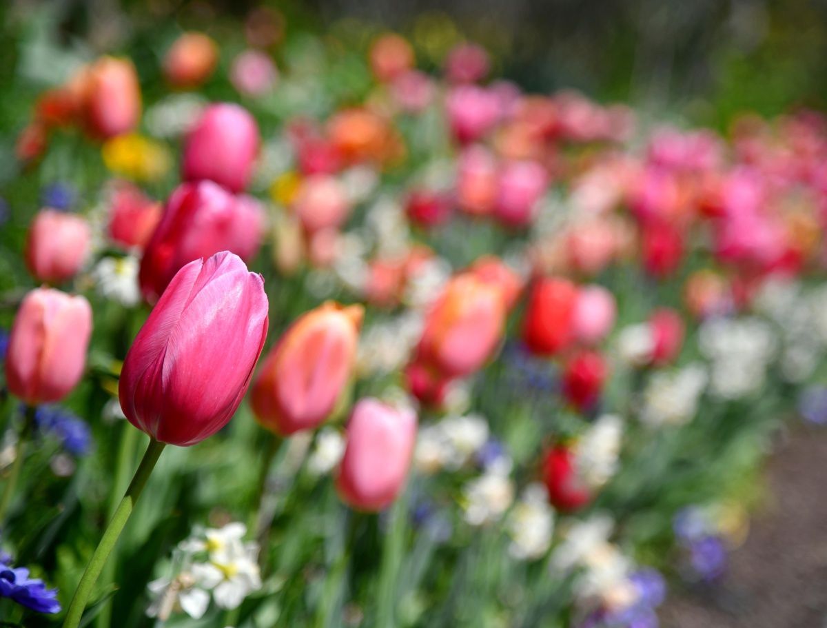 Art and Poetry from March 2023