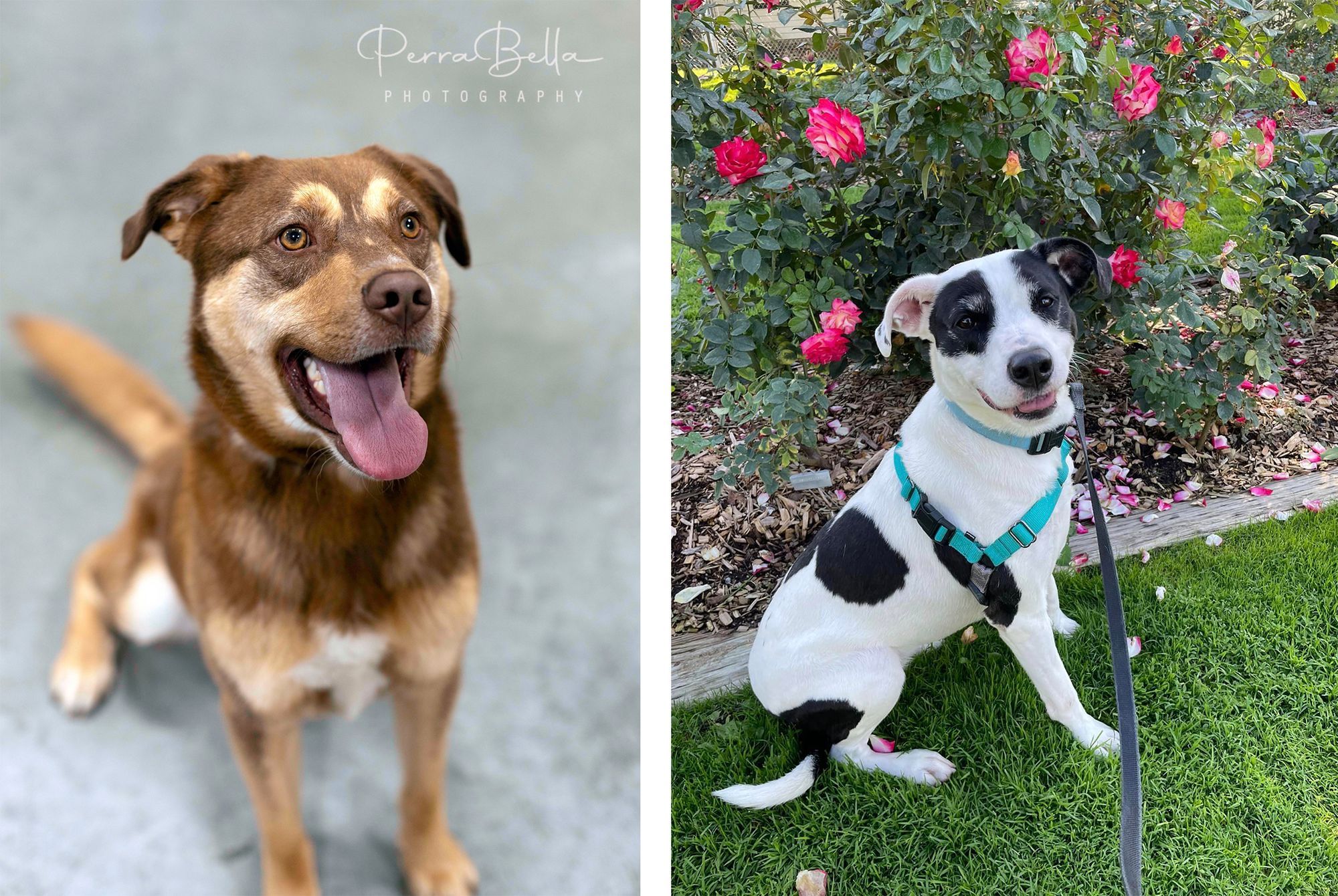 The long and winding road... home