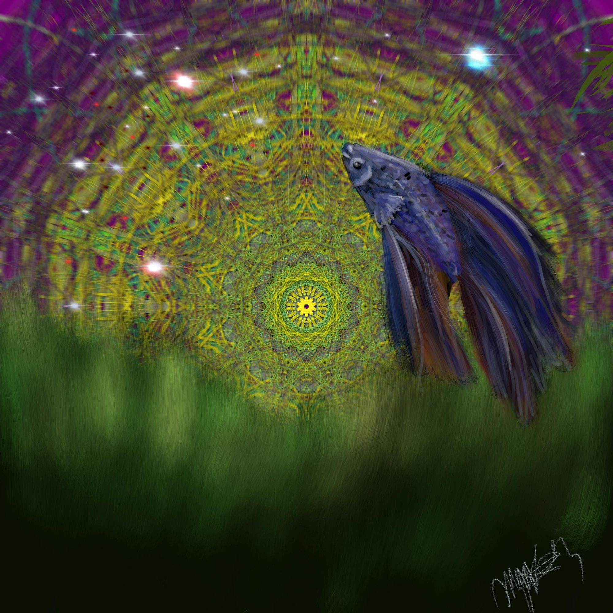 Artist interview with Maggie Kosmatka