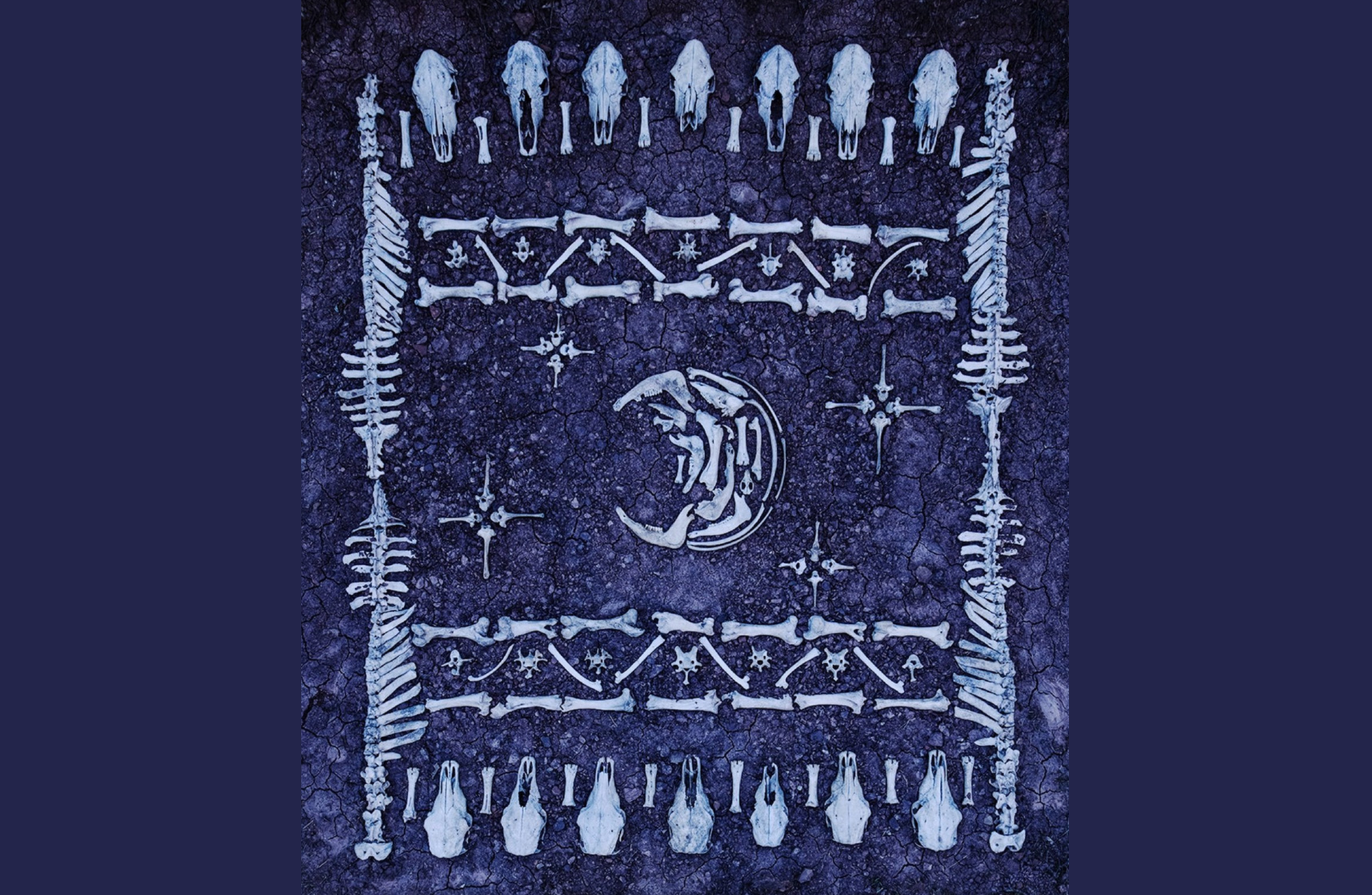 Killers of the Flower Moon