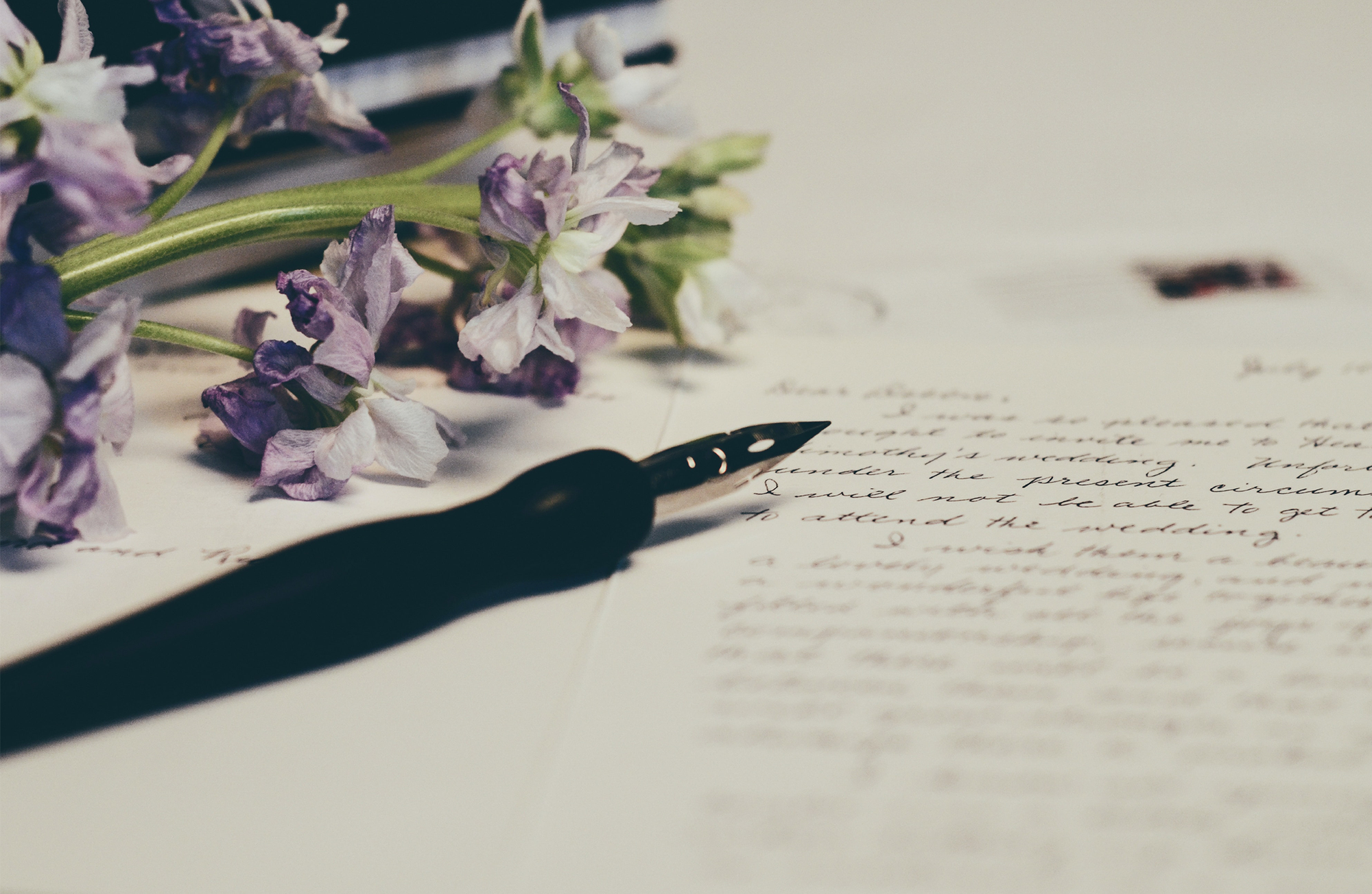 Letter to the Editor (nov 2023)