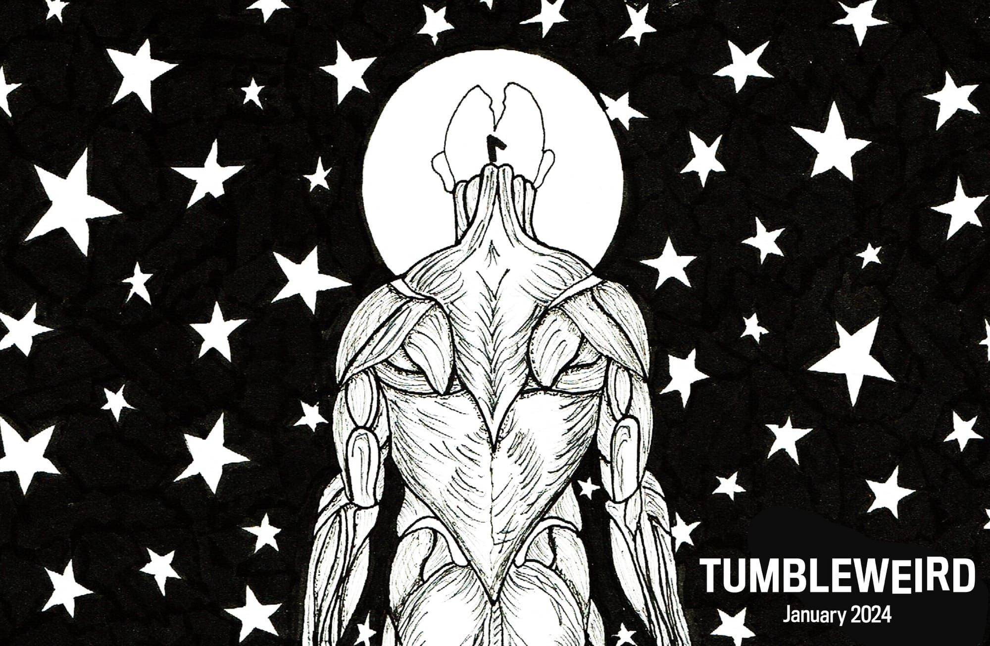 January 2024: Reach for the stars, but stay grounded.