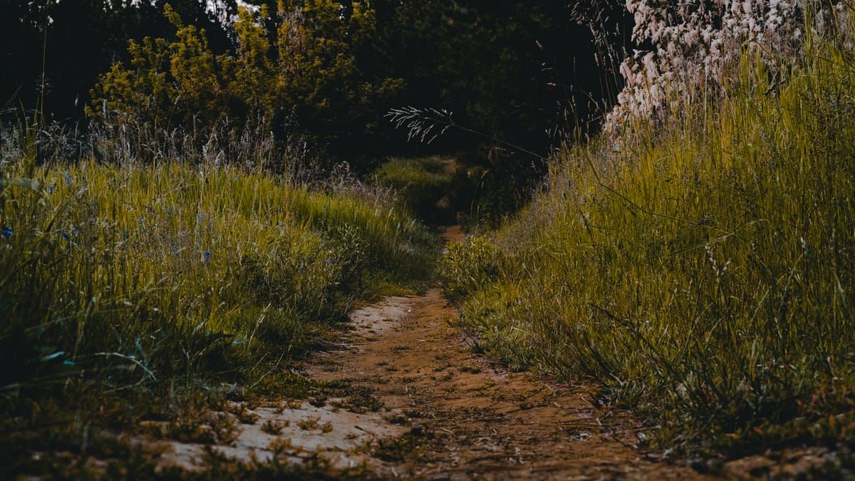 Art and poetry from Dec 2023