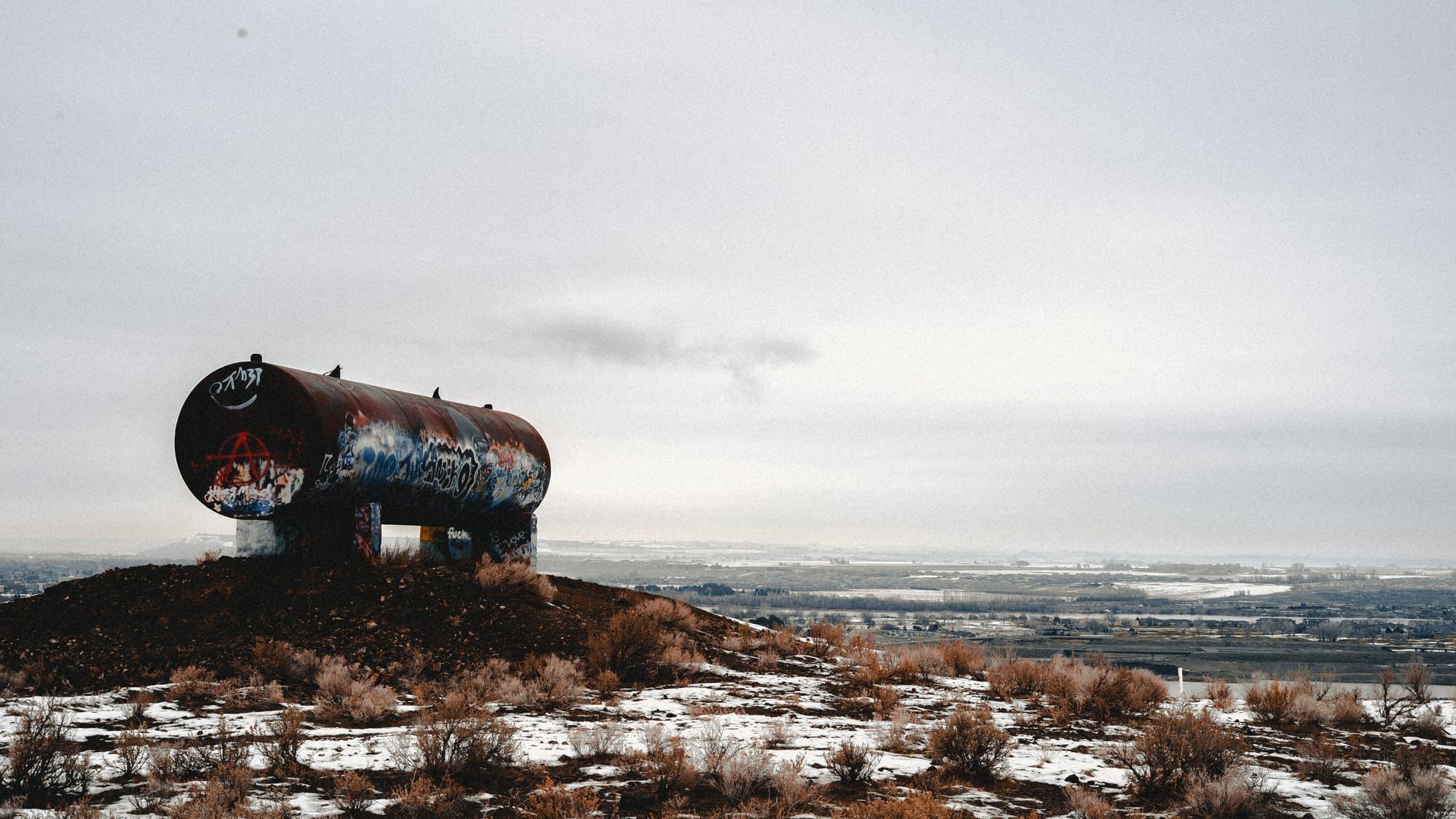 Art & Poetry from January 2024