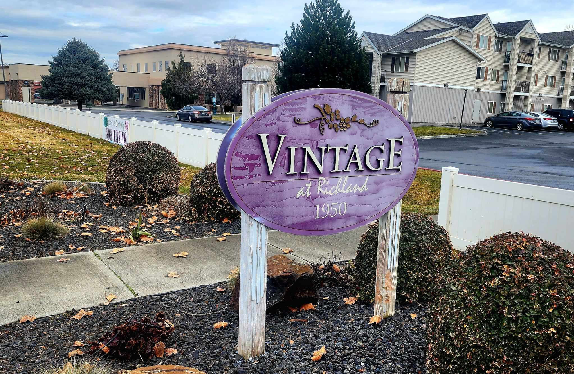 Elder Care(less)