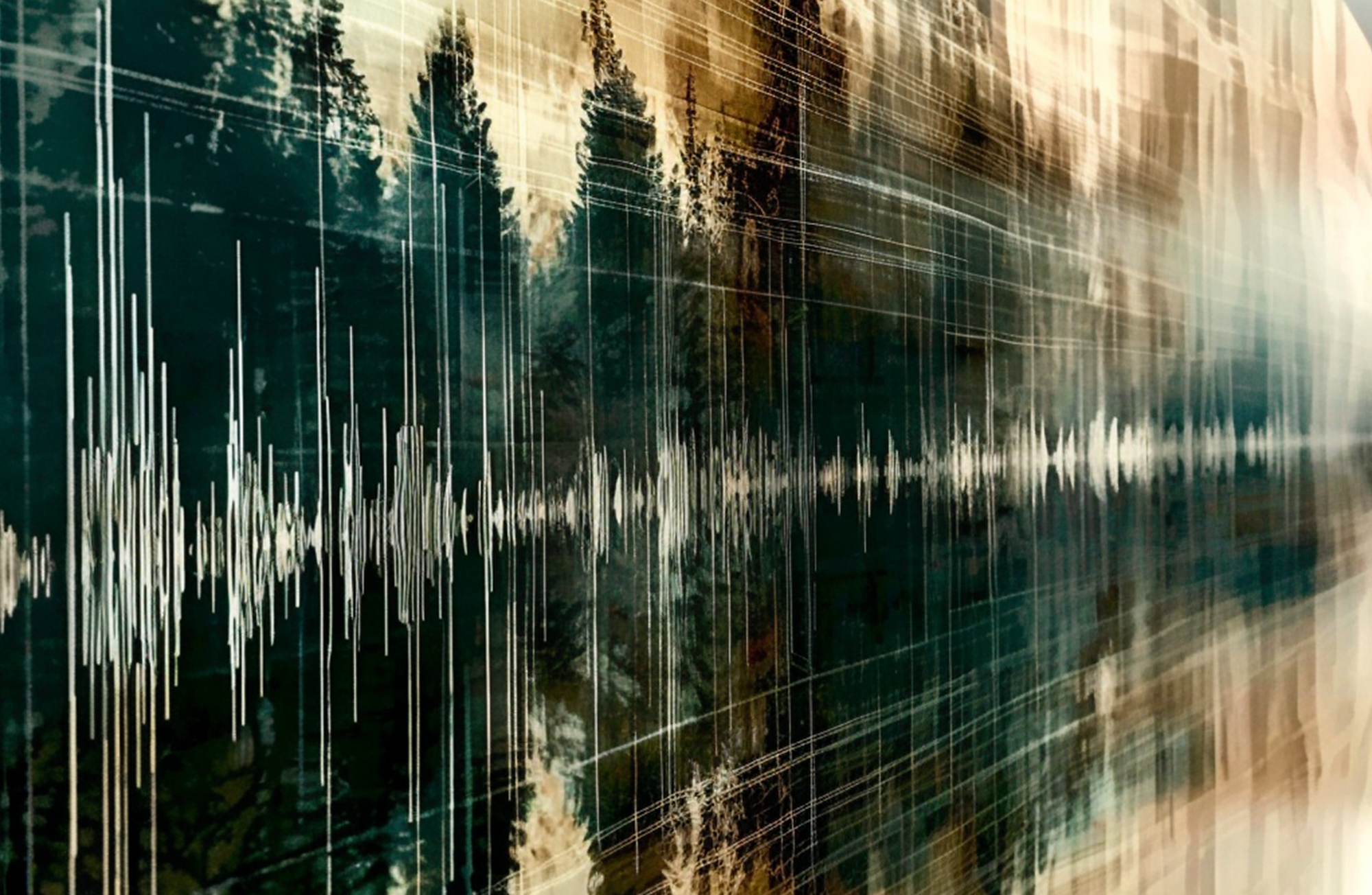 The theory of sound / La teoría del sonido
