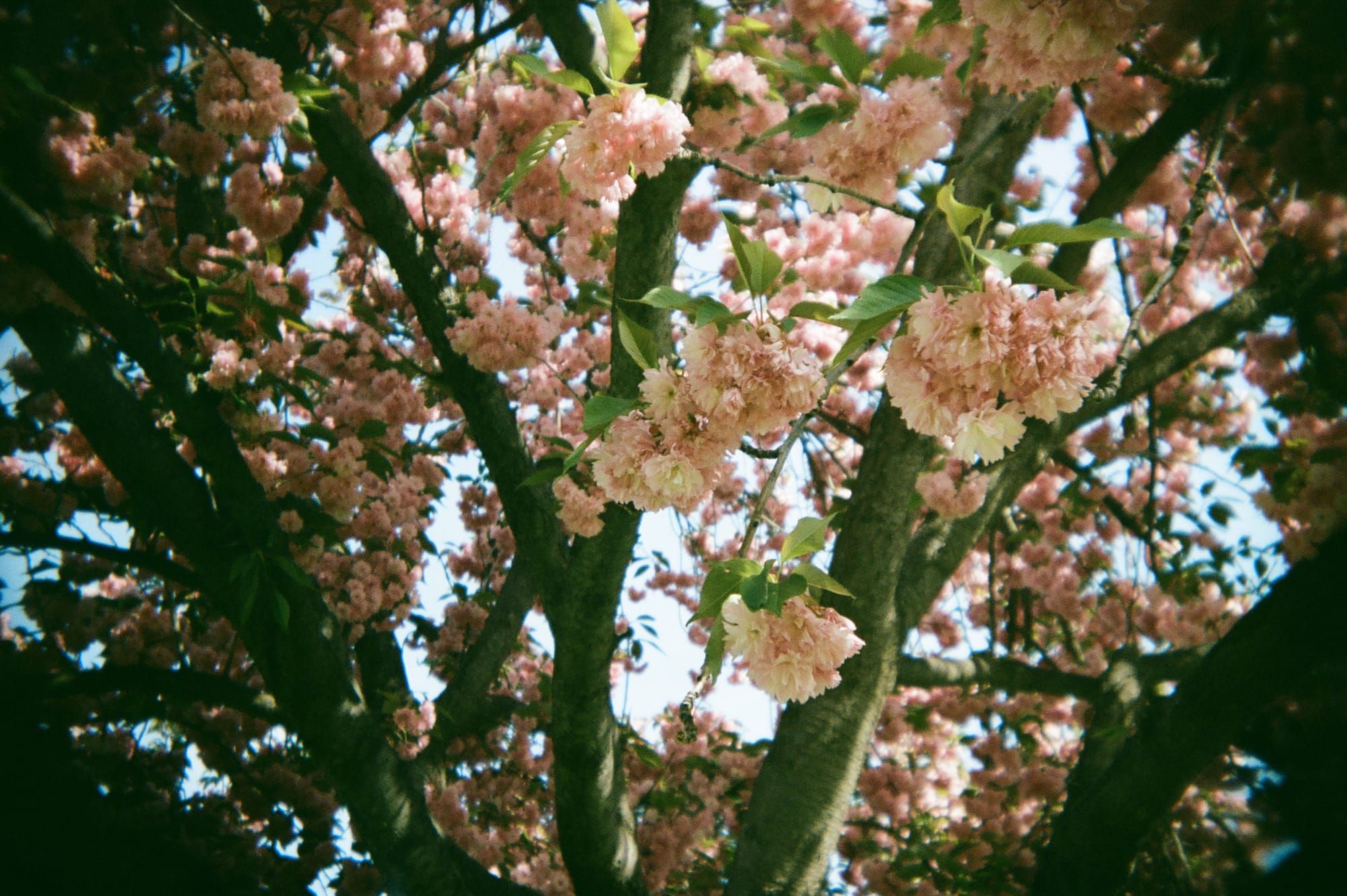 Art & Poetry for April