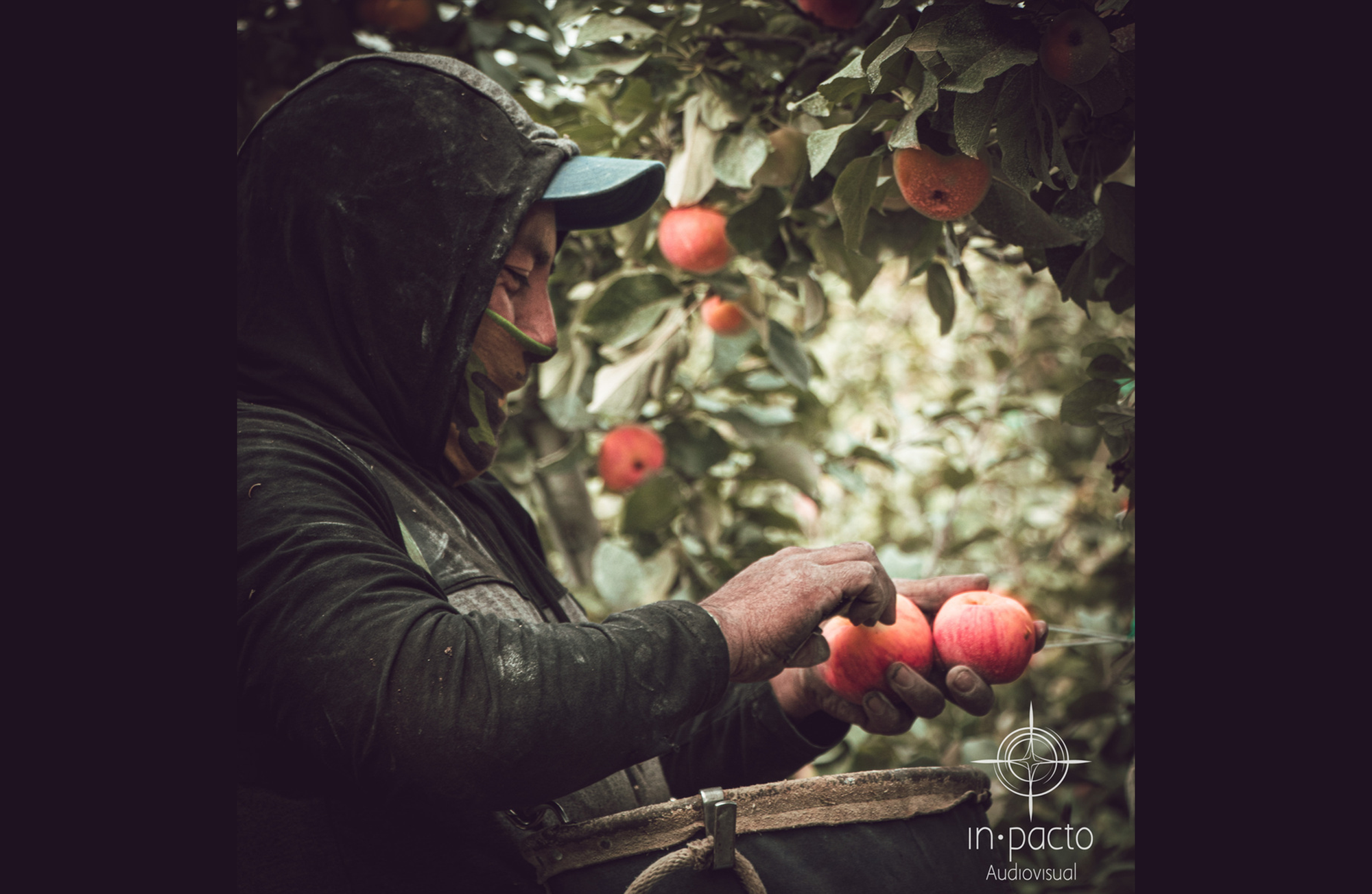 Tejido de Voces / Voices Woven