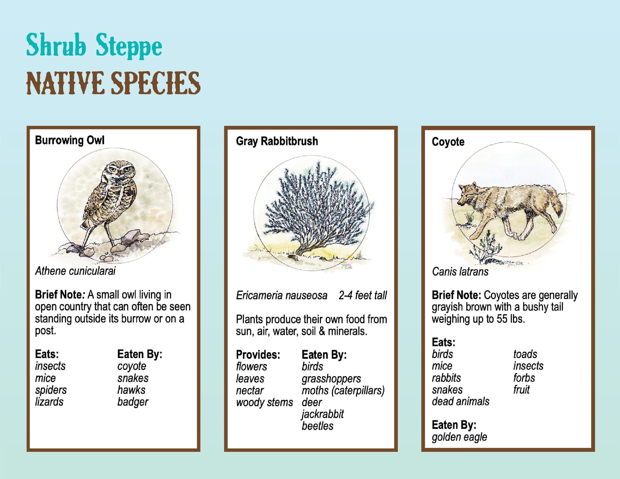 Boots in the Basin: Stewardship