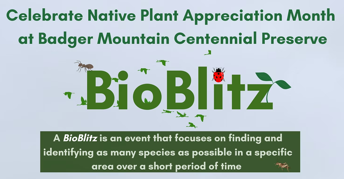Ever heard of a BioBlitz?