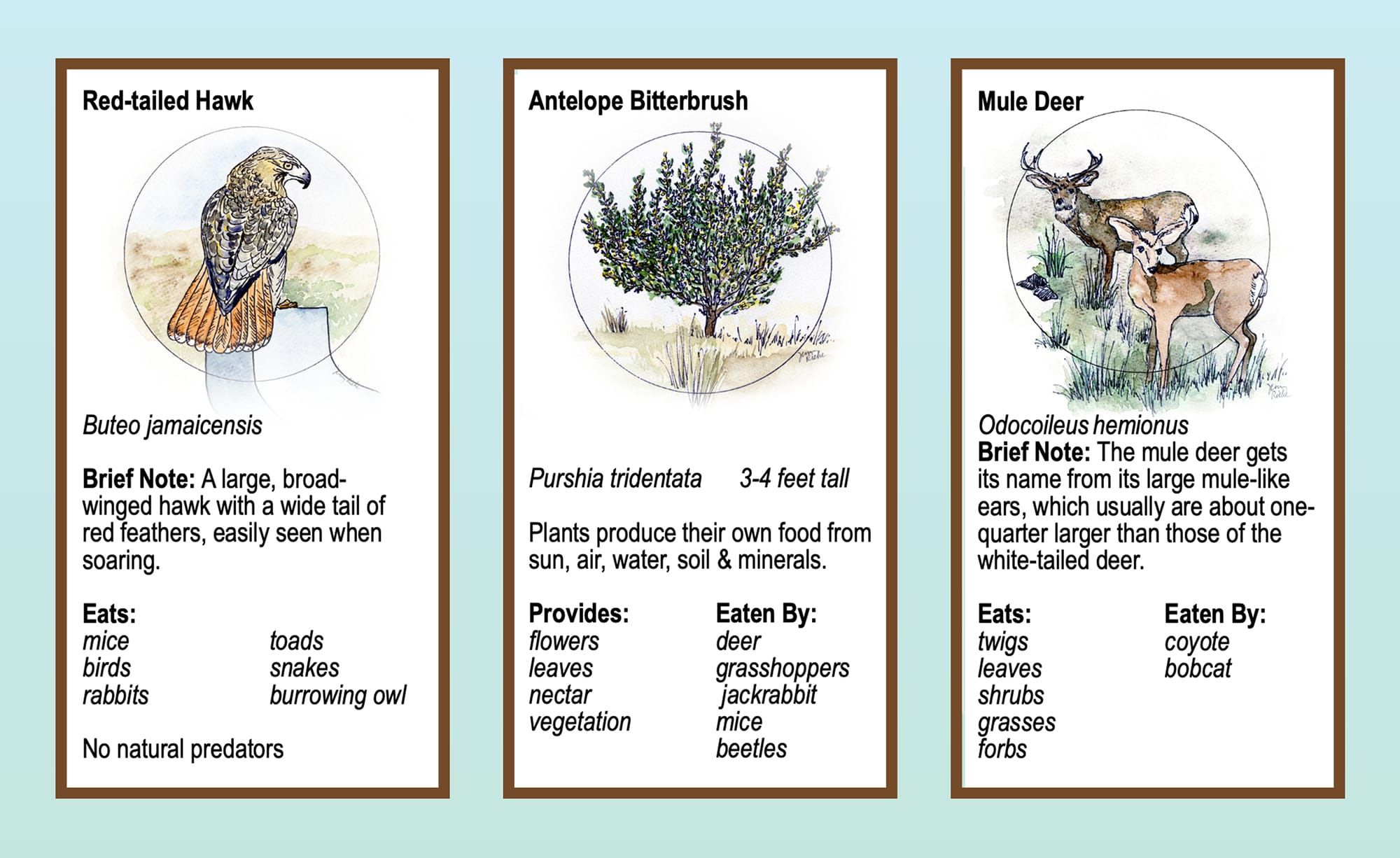 Boots in the Basin: How we learn to care