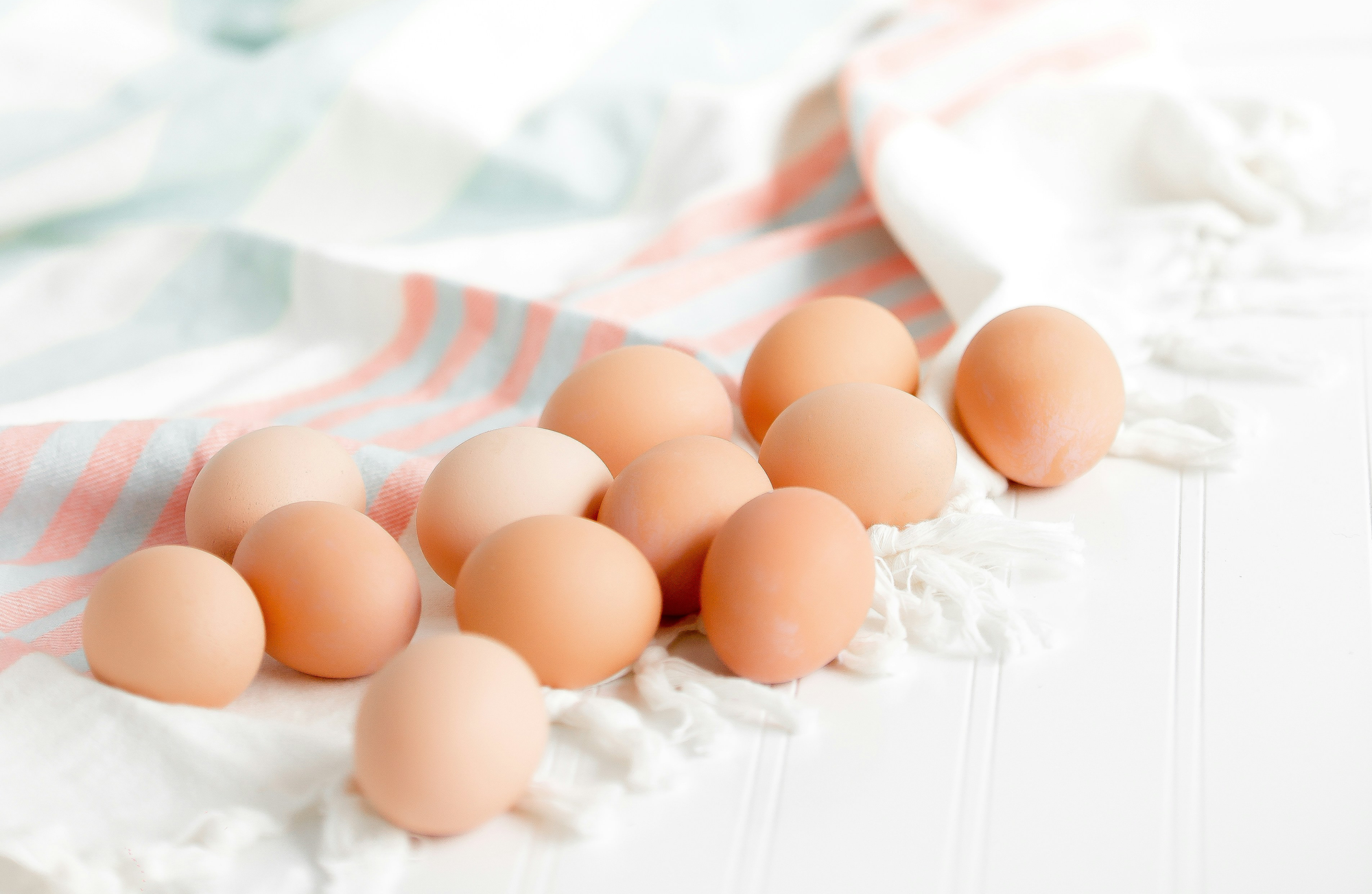 Fresh, free range eggs at Tri-Cities Food Co-op!