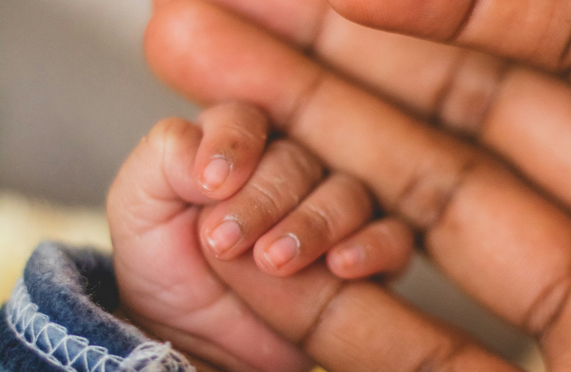 Agradezco / Gratefulness