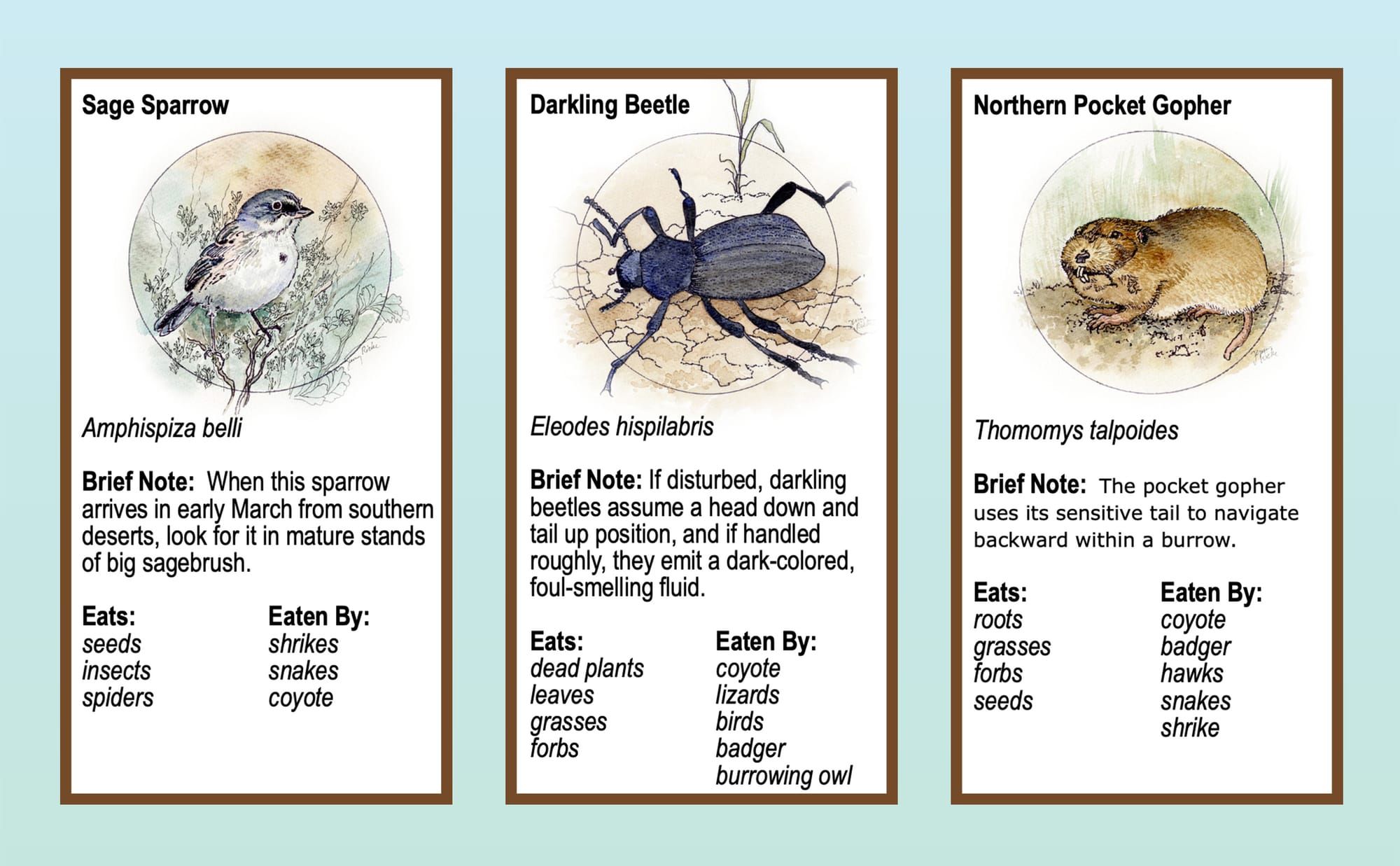 Boots in the Basin: Celebrating Earth Day