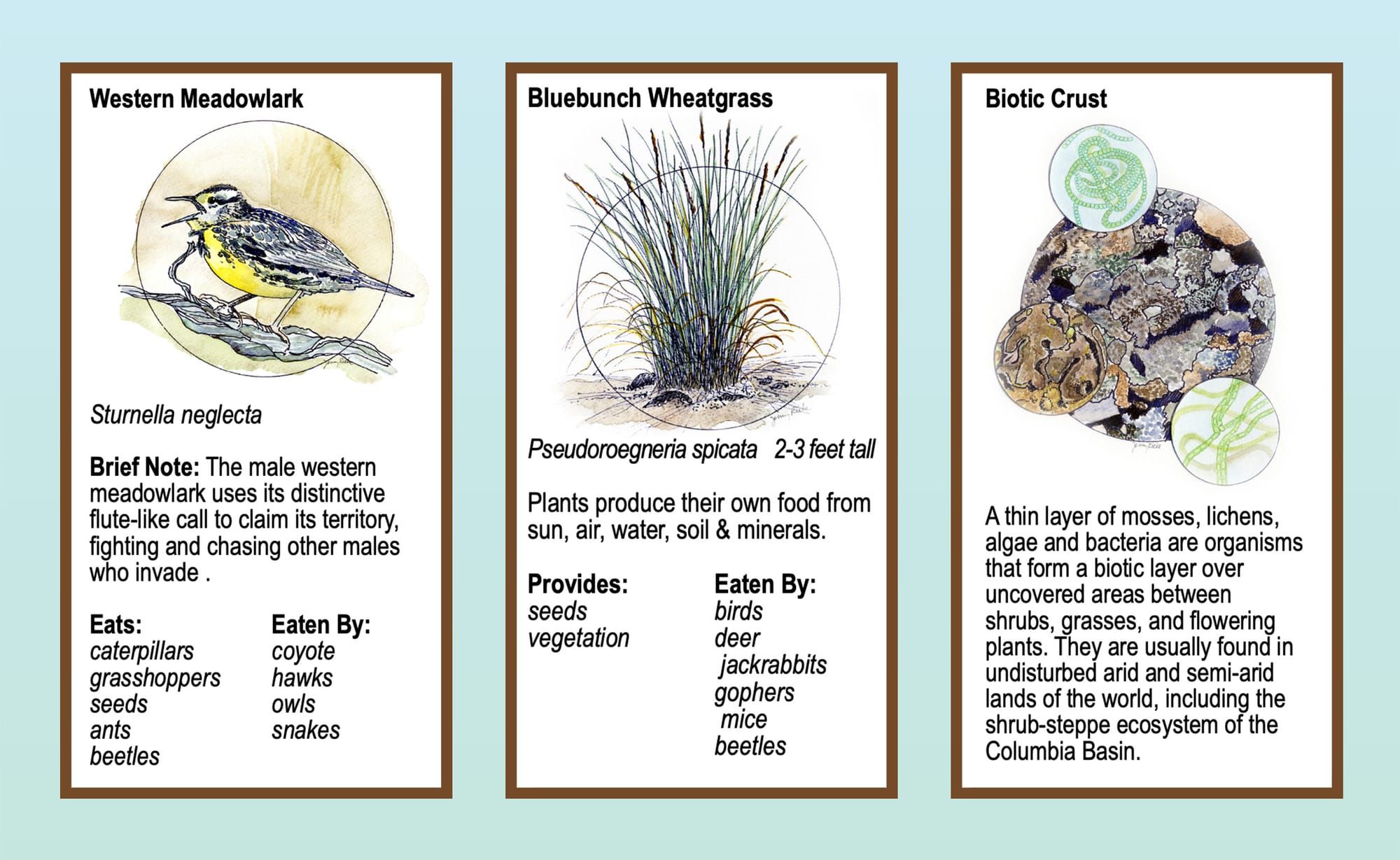 Boots in the Basin: Growing community