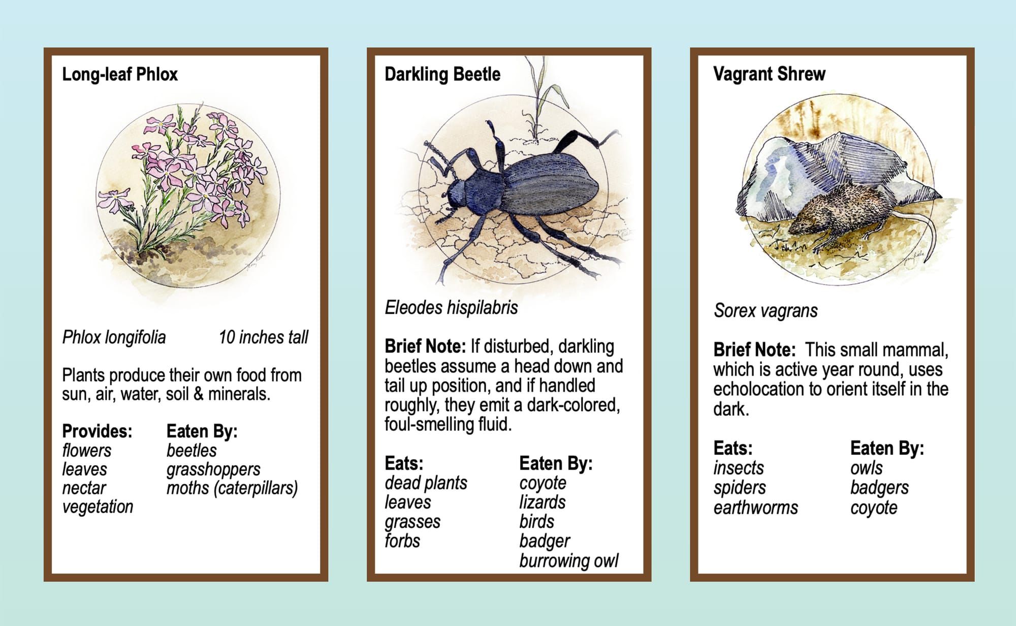 Boots in the Basin: Environmental values