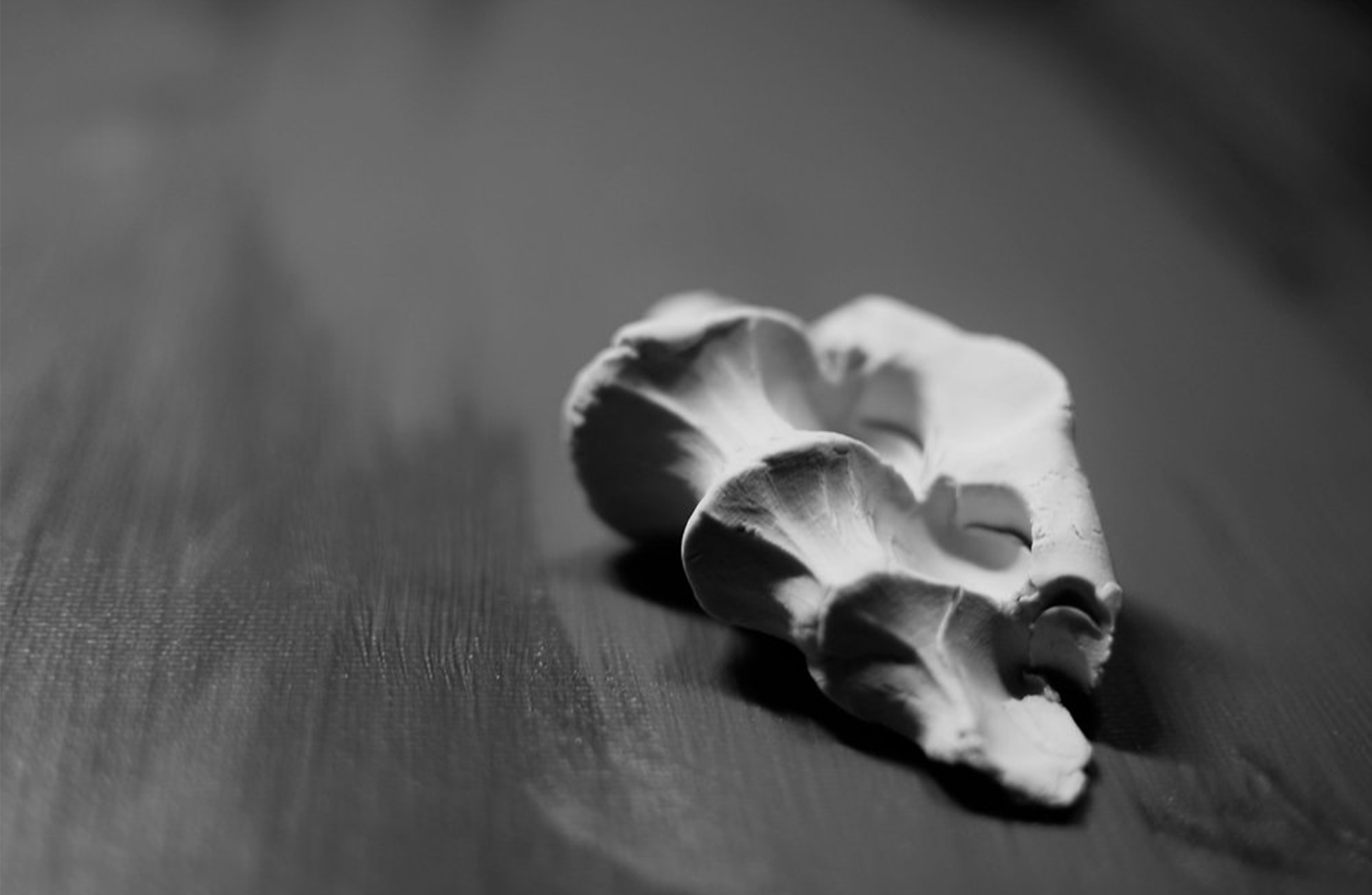 Creative coping in a chaotic world: Working with clay