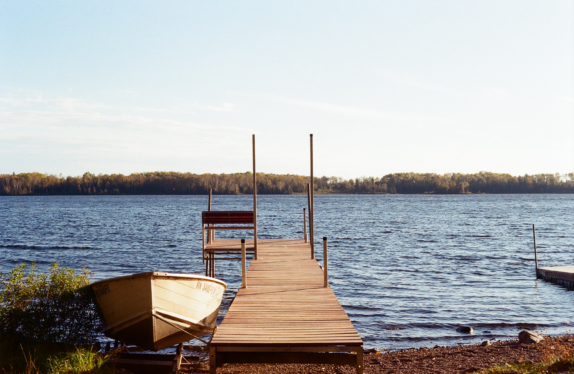 Stop and take a photo of the roses